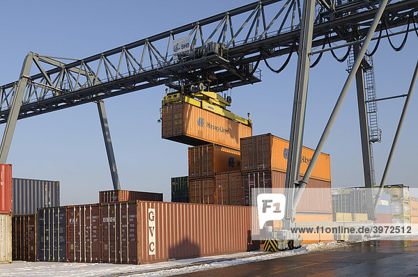 Containerumschlag mittels Containerbrücke  Aufnehmen eines 40 Fuß Containers  Hafen Bonn  Nordrhein-Westfalen  Deutschland  Europa
