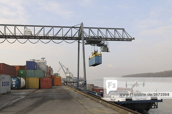 Hafen Bonn  bimodaler Umschlag: Portalkran lädt Container auf Binnenschiff  Containerschiff Magic am Kai  Nordrhein-Westfalen  Deutschland  Europa