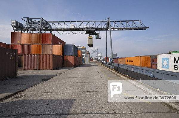Hafen Bonn  Schiff liegt am Kai  daneben Portalkran mit Container beim Schiffsumschlag  Nordrhein-Westfalen  Deutschland