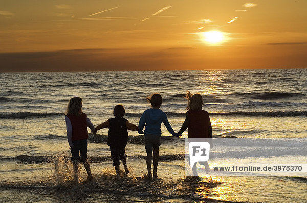 Children at a beach on the North Sea at sunset  Katwijk  the Netherlands  Europe