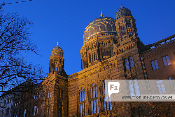 Neue Synagoge  Berlin-Mitte  Berlin  Deutschland  Europa