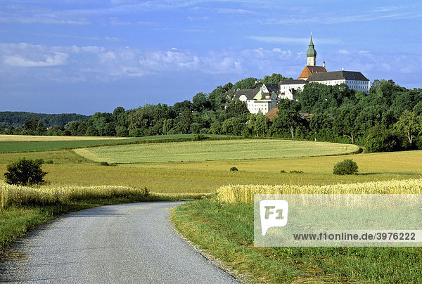 Kloster Andechs bei Herrsching  Feldweg  Getreidefeld  Oberbayern  Bayern  Deutschland  Europa