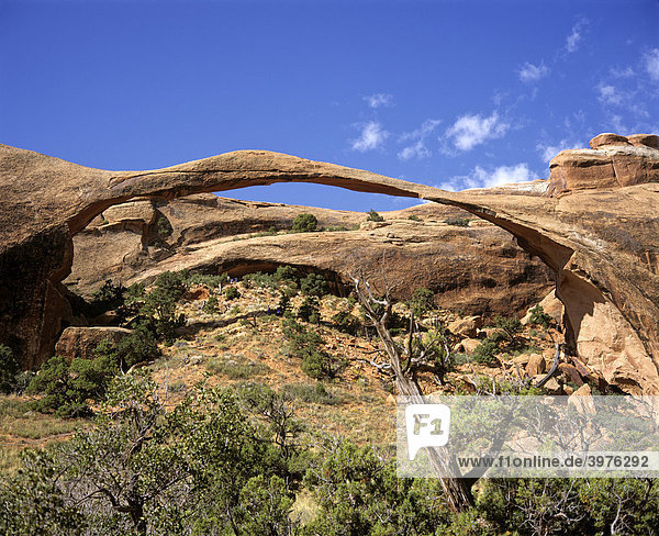 Landscape Arch  rock arch  Arches National Park  Utah  USA