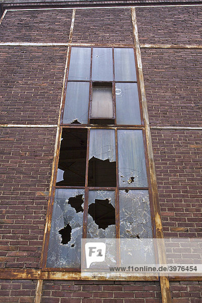 Zerbrochene Fensterscheiben in der Fassade  Fabrikgebäude auf Werksgelände ehemalige Deutsche Norton GmbH  Schleifmittelhersteller Fabrik  Wesseling  Nordrhein-Westfalen  Deutschland  Europa