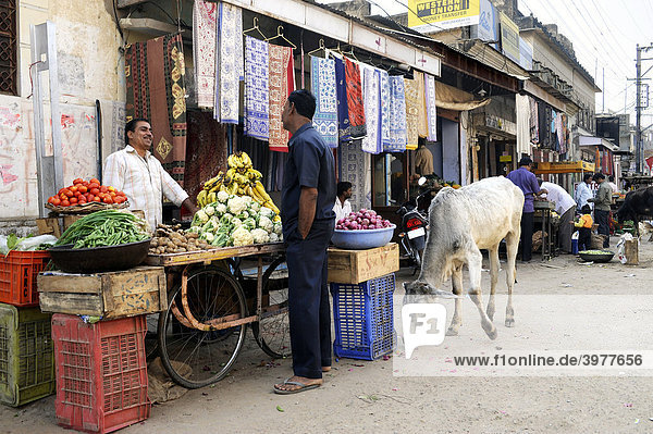 Straßenszene mit Obst- und Gemüsestand und heiliger Kuh  Mandawa  Region Shekhawati  Rajasthan  Nordindien  Indien  Südasien  Asien