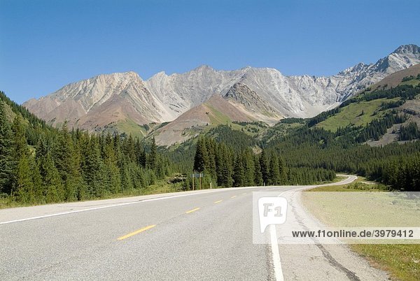 Road in the Kananaskis Country  Alberta  Canada