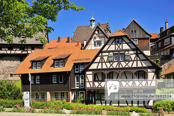 Altstadt Fachwerkhäuser  Gernsbach  Murgtal  Schwarzwald  Baden-Württemberg  Deutschland  Europa