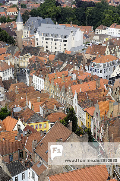 Blick vom Glockenturm  Brügge  Westflandern  Belgien  Europa