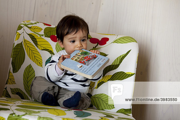 Baby  9 Monate  sitzt auf einem bunten Sessel und beißt in ein Buch