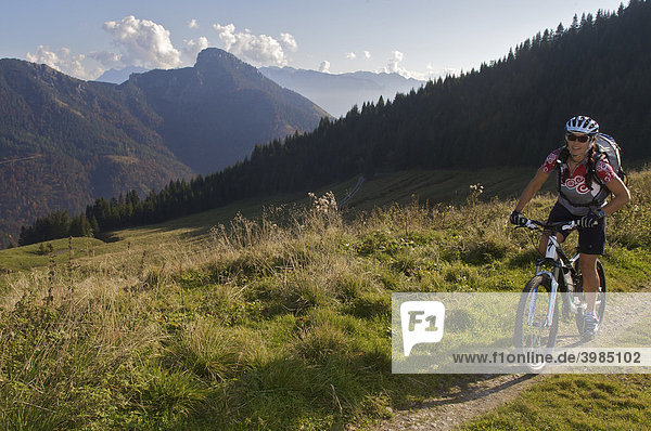 Mountain bike rider  female  in autumn on Hochries Mountain  Chiemgau Alps  Bavaria  Germany