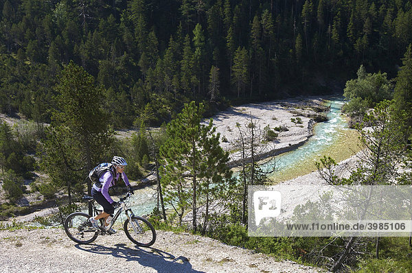 Female mountainbike rider beside the Isar River  southeast of Scharnitz  Tyrol  Austria  Europe