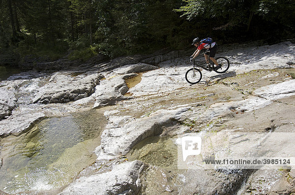 Mountainbike-Fahrer auf Felsplatten im Eschenlainetal  Eschenlohe  Oberbayern  Bayern  Deutschland