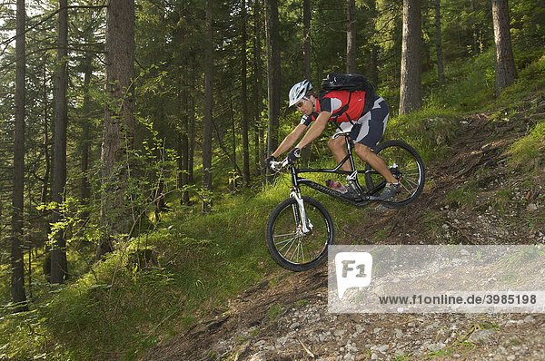 Mountainbike rider riding along a root trail in a forest near Garmisch  Upper Bavaria  Bavaria  Germany  Europe