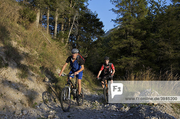 Mountainbikers in the Eschenlainetal valley  Eschenlohe  Upper Bavaria  Bavaria  Germany