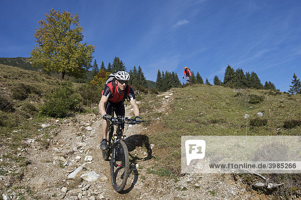 Mountainbiker on Gaisberg mountain  Rettenbach  Tyrol  Austria  Europe