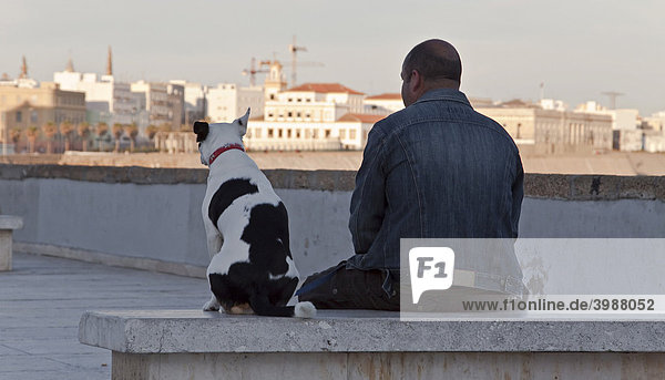 Mann und Hund sitzen auf einer Marmorbank an der Uferpromenade von Cadiz  Andalusien  Spanien  Europa