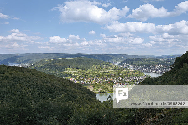 Aussichtspunkt Vierseenblick  der Rhein bei Boppard mit Blick auf Filsen  Rheinland-Pfalz  Deutschland  Europa