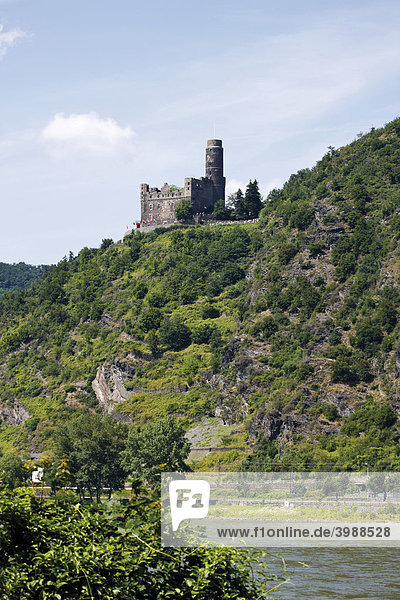Burg Maus am Rhein  Oberes Mittelrheintal  Rheinland-Pfalz  Deutschland  Europa