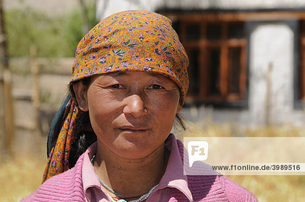 Ladakhifrau  Bäuerin  in der Nähe vom Kloster Traktok bei der Ernte  Ladakh  Indien  Himalaja  Asien