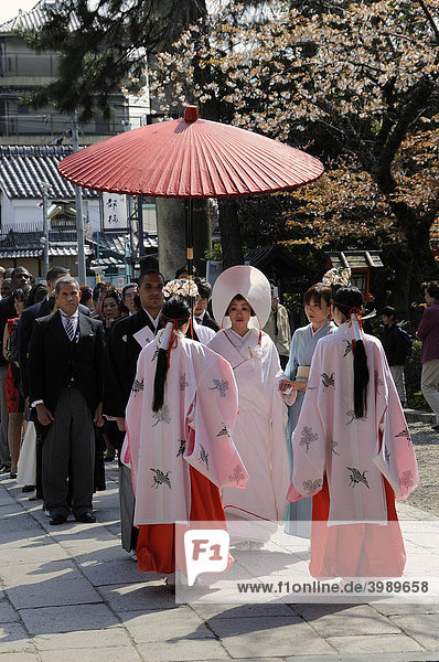 Wedding in traditional kimonos  hair covered  Shinto wedding in the Yasaka Shrine  Maruyama Park  Kyoto  Japan  Asia