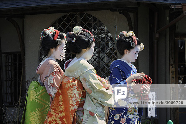 Maikos  geishas in training  in the Gion district  Kyoto  Japan  Asia