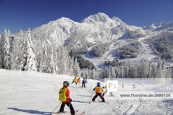 Skiing class  children's group  Nassfeld  Hermagor  Carinthia  Austria  Europe