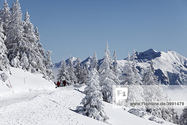 Winterlandschaft mit Spaziergängern  Wank im Estergebirge nahe Garmisch-Partenkirchen  Werdenfelser Land  Oberbayern  Bayern  Deutschland