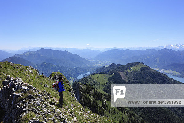 Woman with a backpack on Mt. Schafberg  Schwarzensee lake in the middle  on the right Wolfgangsee lake  Salzkammergut region  Salzburg Land state and Upper Austria  Austria  Europe