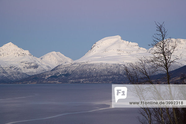 Balsfjorden  Blick von der E8 bei Seljelvnes  Polarnacht  Winter  Tromso  Norwegen  Skandinavien