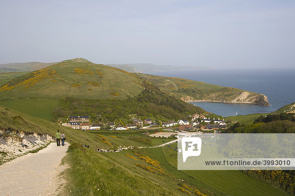 Blick auf die Lulworth Cove Bucht  Dorset  England  Vereinigtes Königreich  Europa