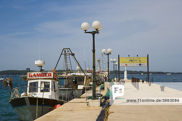 Hafen von Fazana mit Fischer- und Ausflugsbooten zu den Brijuni-Inseln  Istrien  Kroatien  Europa