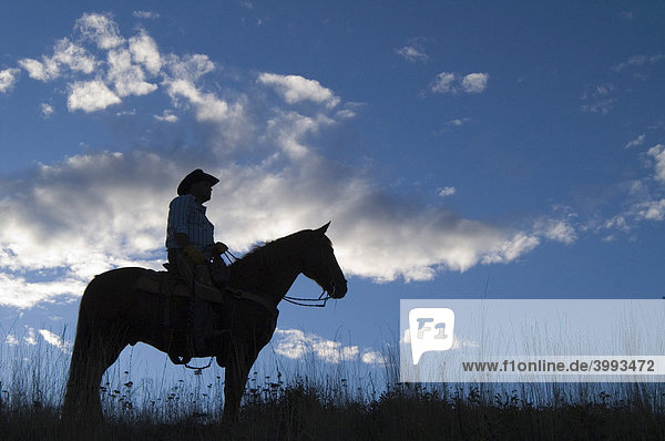 Cowboy Washington USA