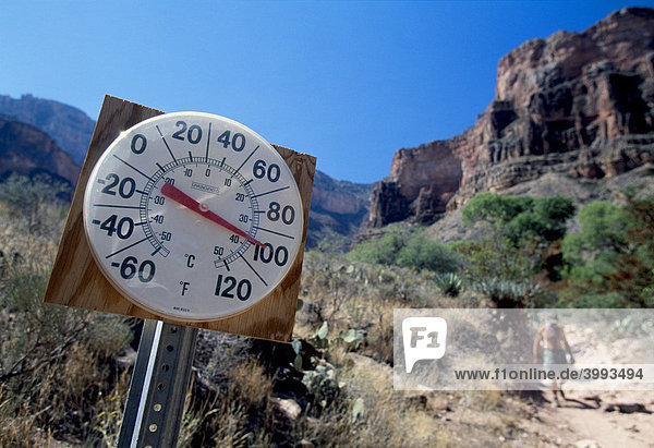 Thermometer im Grand Canyon Arizona USA Nordamerika