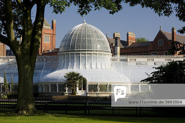 Das Palmenhaus im Botanischen Garten von Belfast County Antrim Ulster Nordirland Vereinigtes Königreich Europa