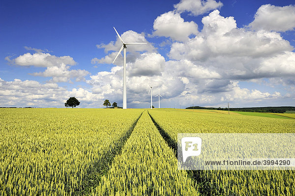 Wind power plant with wheat field  near Stetten in Hegau  County of Constance  Baden-Wuerttemberg  Germany  Europe