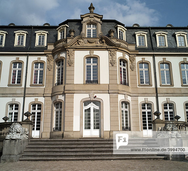 Das Büsing-Palais  neobarockes Stadtpalais  Offenbach am Main  Hessen  Deutschland  Europa