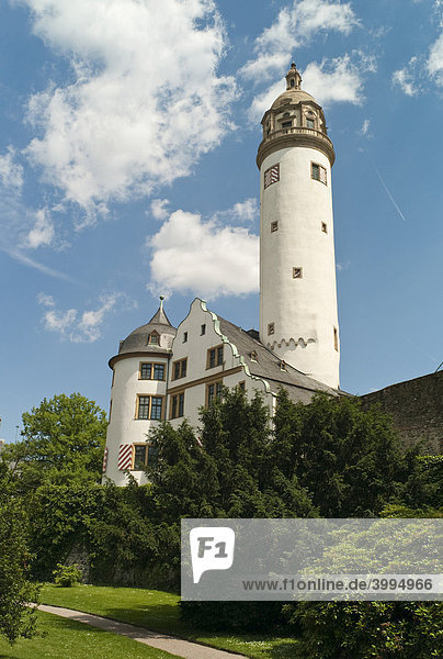 Höchster Schloss  ehemalige Residenz des Mainzer Erzbistums  Frankfurt  Hessen  Deutschland  Europa