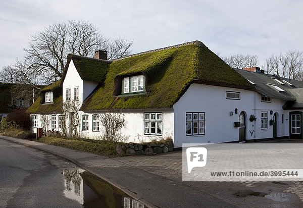 Typisches Reetdachhaus  Keitum  Sylt  nordfriesische Insel  Schleswig-Holstein  Deutschland  Europa