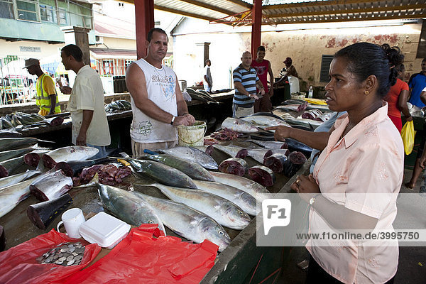 Der lebhafte Fischmarkt Sir Selwyn Clarke Markt an der Market Street  Victoria  Insel Mahe  Seychellen  Indischer Ozean  Afrika