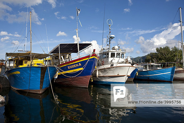 Fischerboote im Hafen von Victoria  Insel Mahe  Seychellen  Indischer Ozean  Afrika