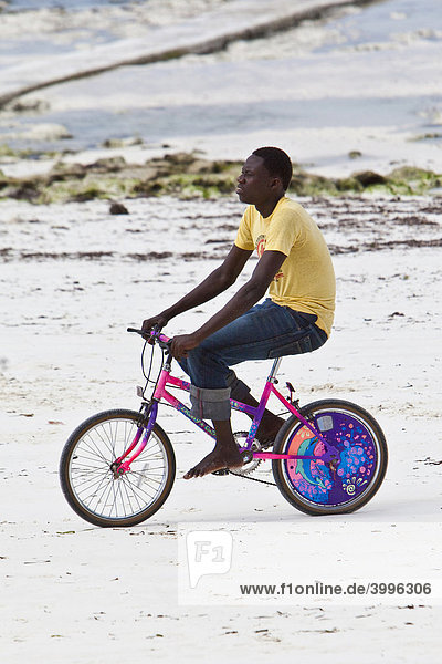 Bicycle rider on the beach at Pingwe  Zanzibar  Tanzania  Africa