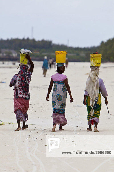 Frauen tragen ihren Fischfang auf Eimern auf dem Kopf  Sansibar  Tansania  Afrika