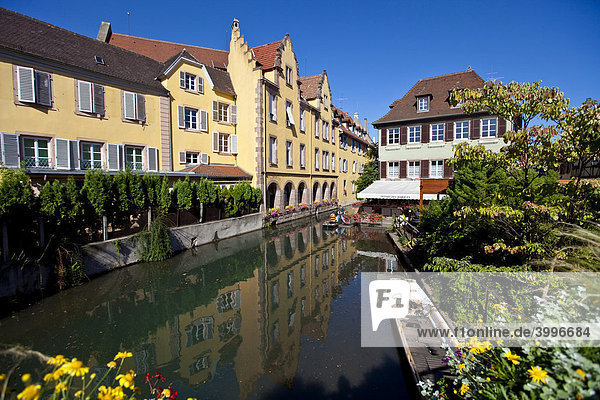 Altstadt von Colmar  Colmar  Elsass  Frankreich  Europa