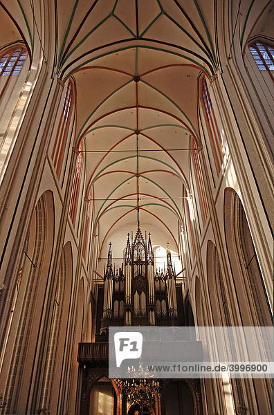Deckengewölbe und Orgel des Schweriner Doms  Schwerin  Mecklenburg-Vorpommern  Deutschland  Europa