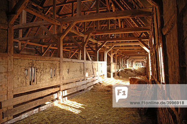Interior of an old  half-timbered barn  built 1923  Othenstorf  Mecklenburg-Western Pomerania  Germany  Europe
