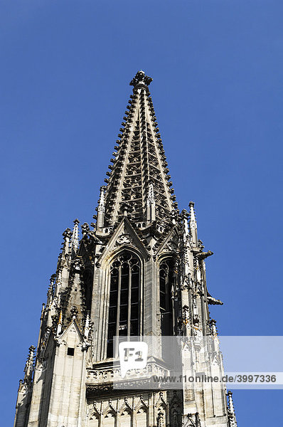 Restaurierter Turm vom Dom St. Peter  Detail  Regensburg  Oberpfalz  Bayern  Deutschland  Europa