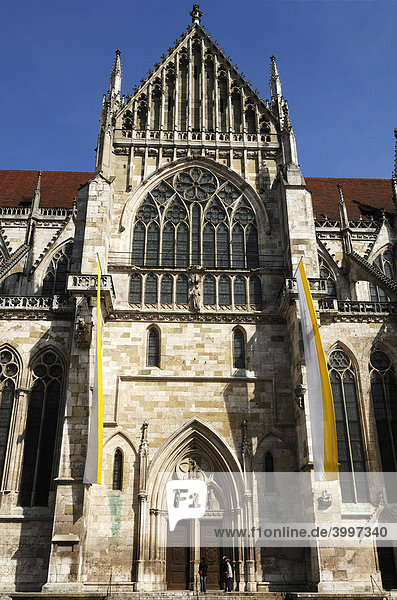 Seitenportal vom Dom St. Peter mit weiß-gelben Fahnen  Regensburg  Oberpfalz  Bayern  Deutschland  Europa