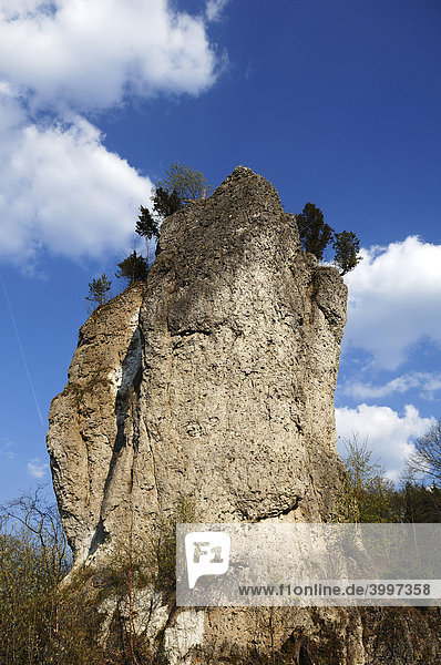 Ruine der Felsburg und Wahrzeichen von Bärnfels  Bärnfels  Oberfranken  Bayern  Deutschland  Europa