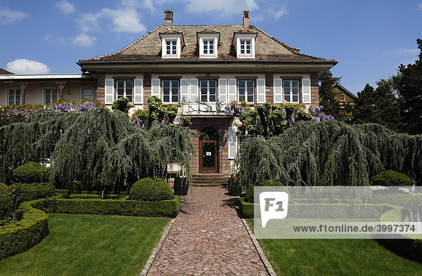 Villa mit Garten eines Weinhändlers  Riquwihr  Elsass  Frankreich  Europa