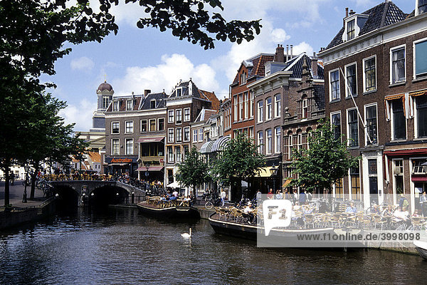 Bar Cafe Terrace on the water  Nieuwe Rijn in the historic city centre  Leiden  Province of South Holland  Zuid-Holland  Netherlands  Benelux  Europe